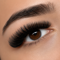 200D Lash