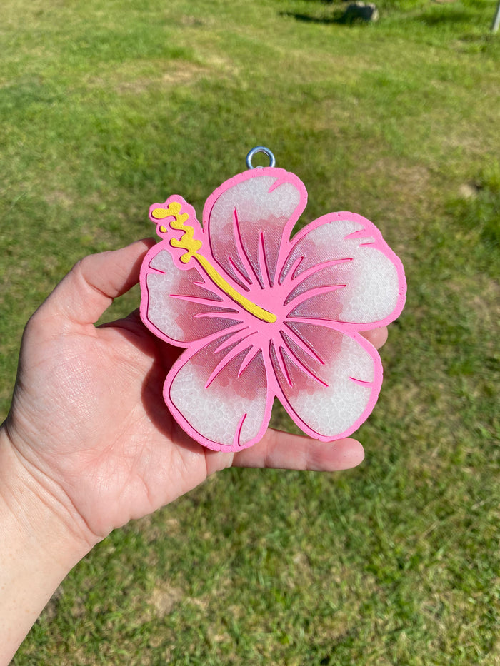 Hibiscus Freshie