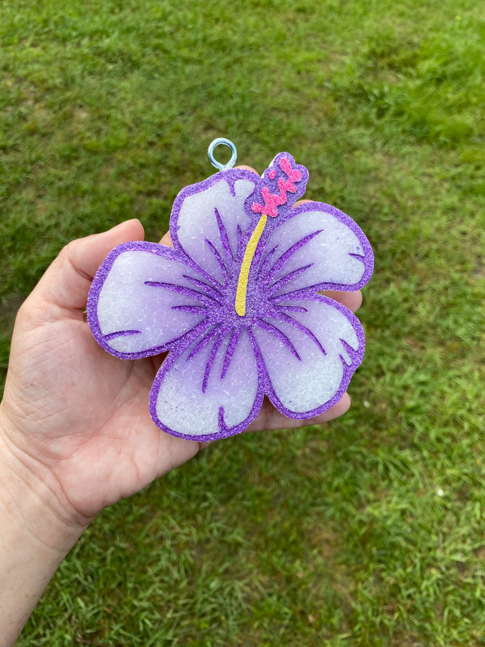 Hibiscus Freshie
