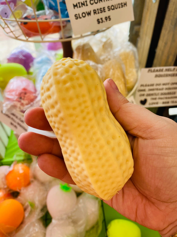 Peanut Dough Filled Squish Toy