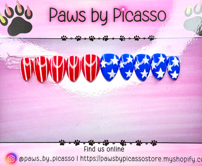 Patriotic American Flag nails - Paws By Picasso Patriotic American Flag nails