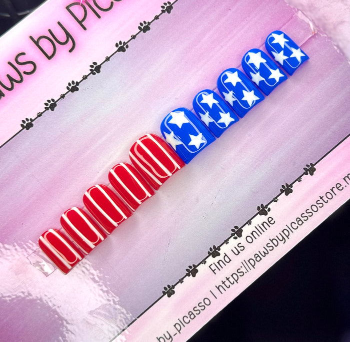 Patriotic American Flag nails - Paws By Picasso Patriotic American Flag nails