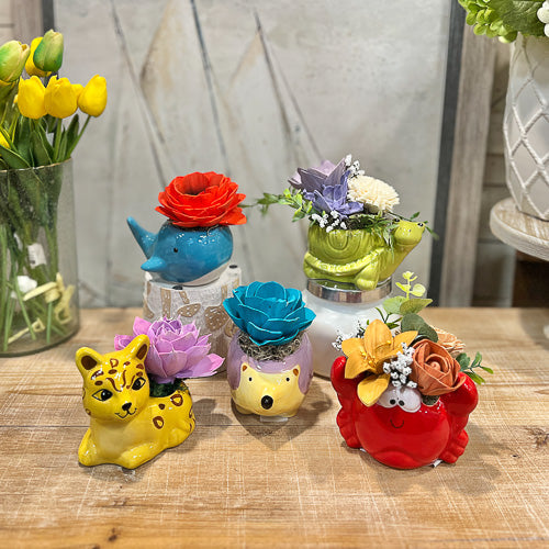 Animal Pot Sola Flower Arrangement