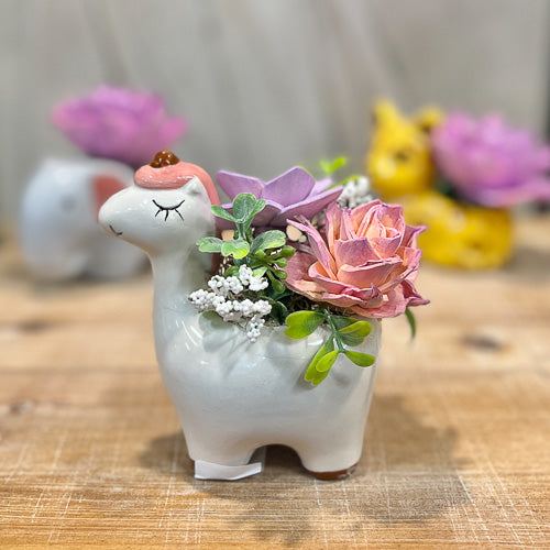Animal Pot Sola Flower Arrangement