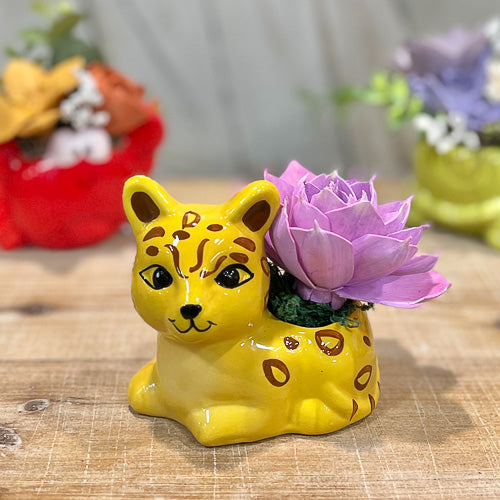Animal Pot Sola Flower Arrangement