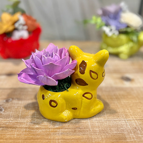 Animal Pot Sola Flower Arrangement