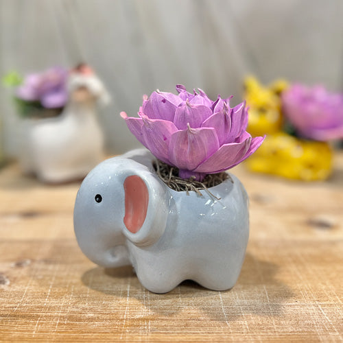 Animal Pot Sola Flower Arrangement