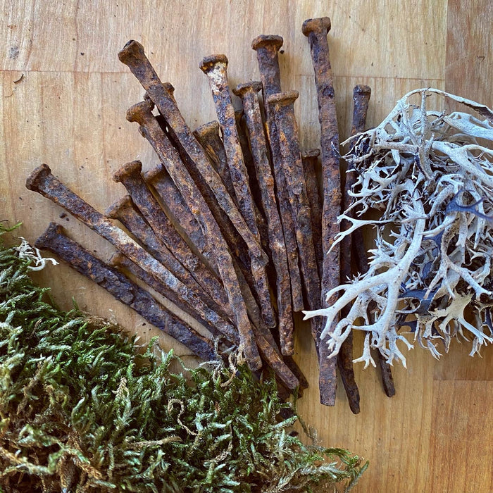 Antique Iron Coffin Nails