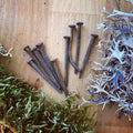 Antique Iron Coffin Nails