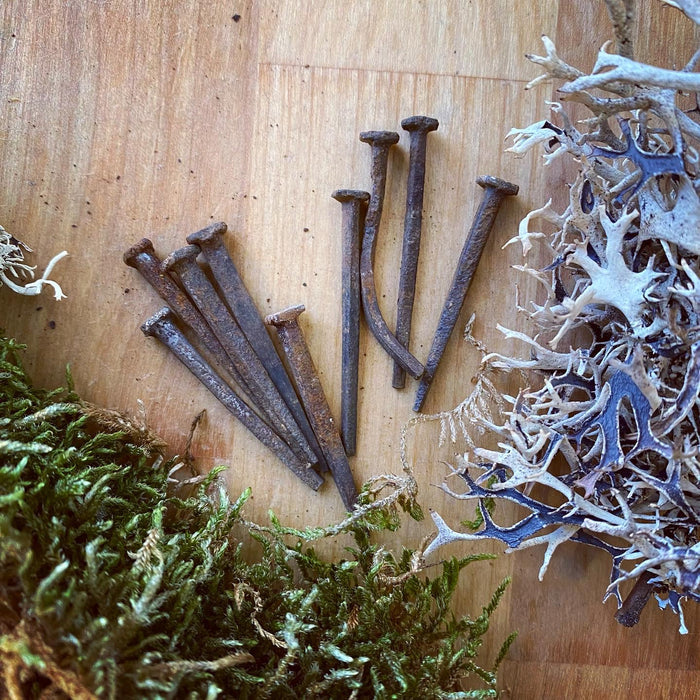 Antique Iron Coffin Nails