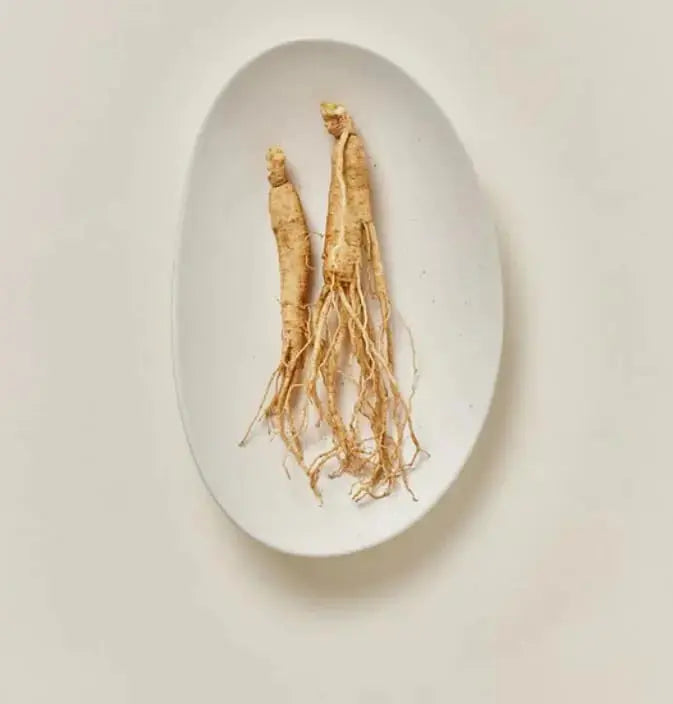 BEAUTY OF JOSEON Ginseng Moist Sun Serum 50 ML - DOKAN