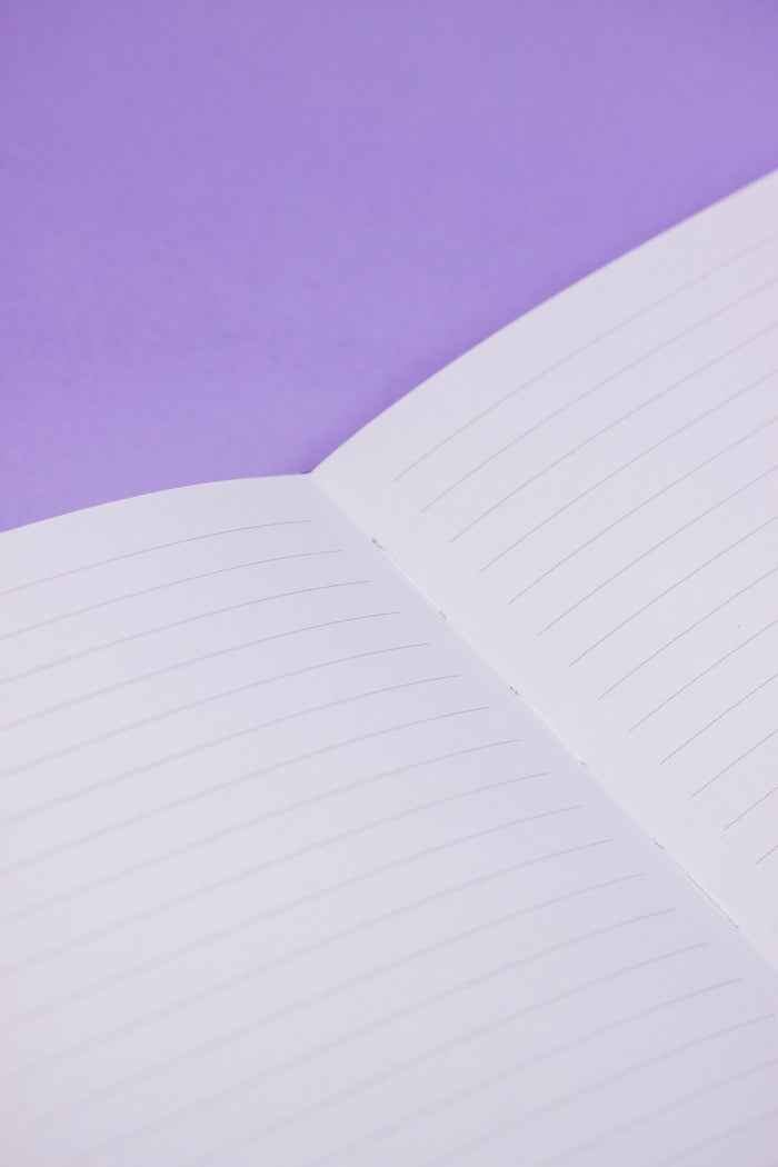 ✦ Book of Bitch Craft Journal ✦ on SALE