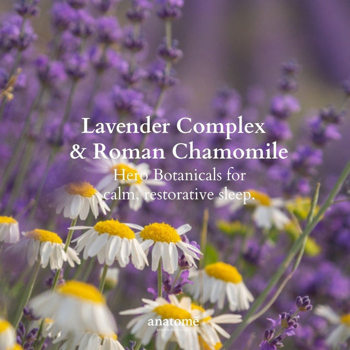 The Little Gift of Good Sleep Roman Chamomile - anatomē
