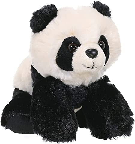 CK Lils Panda