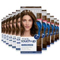 Clairol Root Touch-Up, 5G Medium Golden Brown - 12 Pack