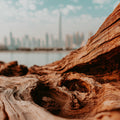 Close-up of textured wooden surface with blurred cityscape in the background