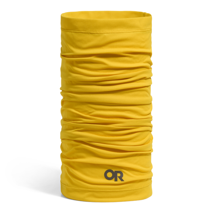 Yellow-poplar | E1