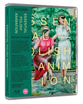 Essential Polish Animation Blu-ray