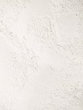 Freeze Dried Lemon Powder