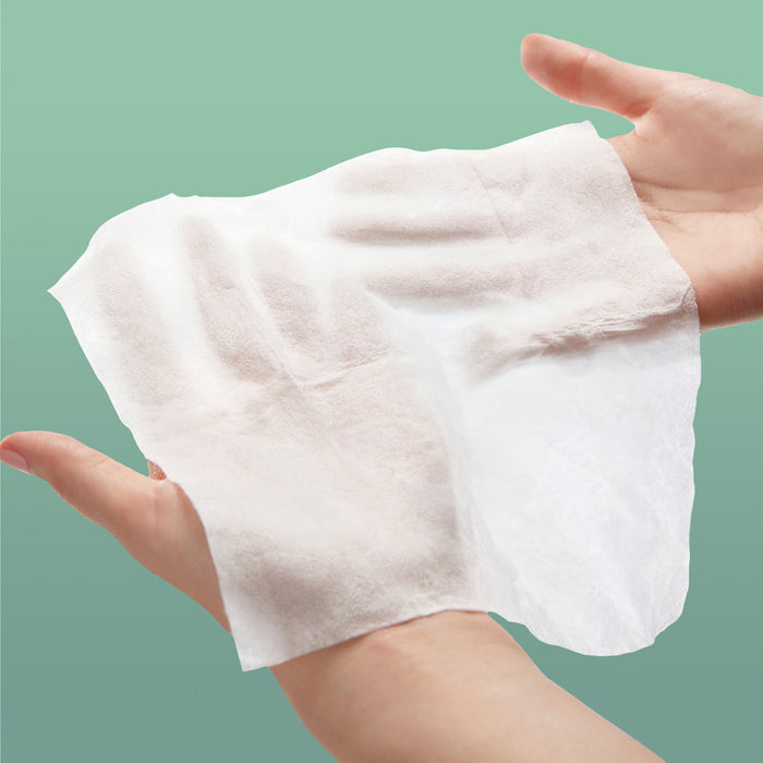 Model holding a single Rael Gentle Feminine Wipe in hands