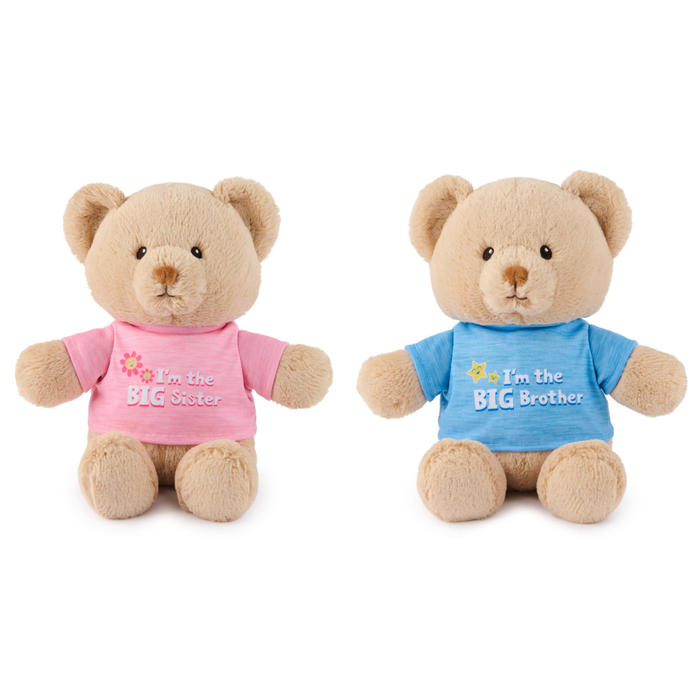 GUND Big Brother & Big Sister Teddy Bears