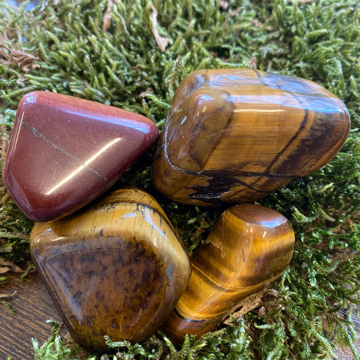 Tigers Eye
