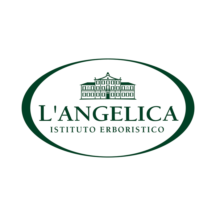 L'Angelica Cotton & White Musk Bath & Shower Gel - EMPORIO ITALIANO