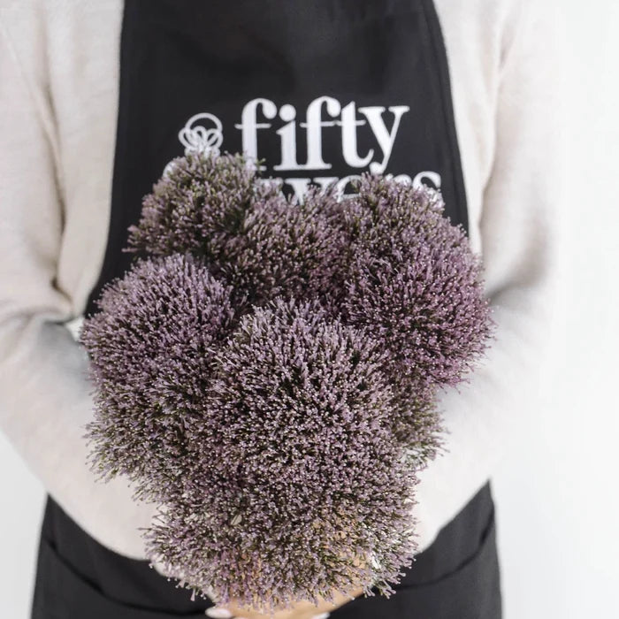 Lilac Lavender Trachelium Flower Apron - Image