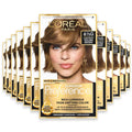 L'Oréal Paris Superior Preference 6-1/2G Lightest Golden Brown Permanent Hair Color - 12 Pack