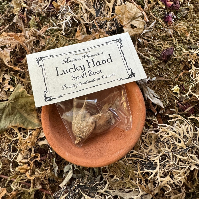 Lucky Hand Root