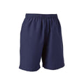 Microfibre Shorts (no logo)