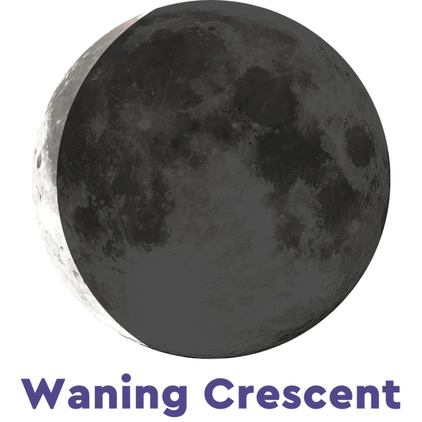 Moonglow Moonstone Bracelet CD