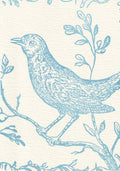 Nightingale, Pack of Six Note Cards | Saturn Press