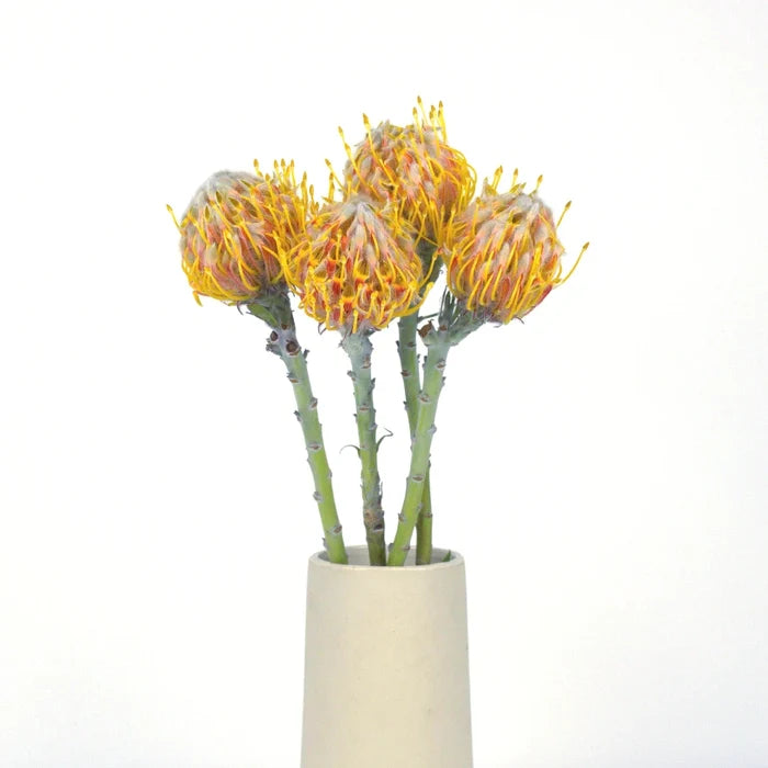 Orange Ribbon Pin Cushion Flower Vase - Image
