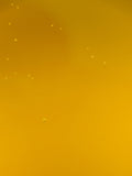 Organic Canola Oil