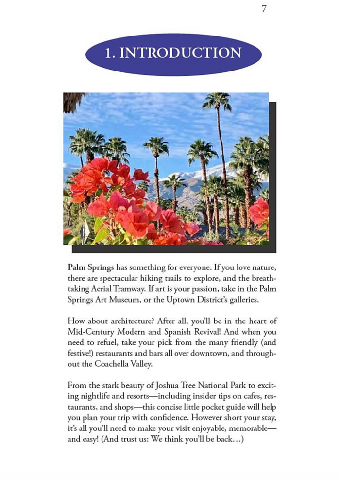 Palm Springs Made Easy