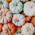 A variety of pastel-colored pumpkins arranged together.