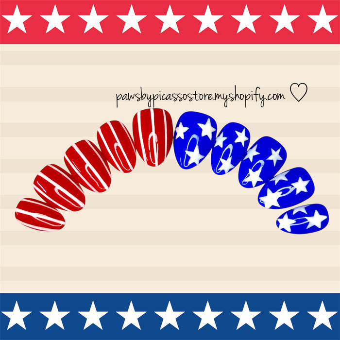 Patriotic American Flag nails - Paws By Picasso Patriotic American Flag nails