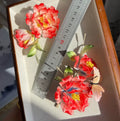 PF338 - Ronghua Hairpin/Brooch - Wholesale