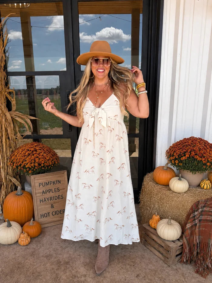 PREORDER: Western Charm Maxi Dress // eta September - October