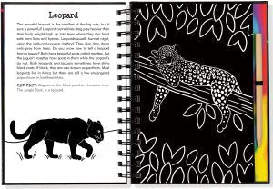 Scratch & Sketch Wild Cats