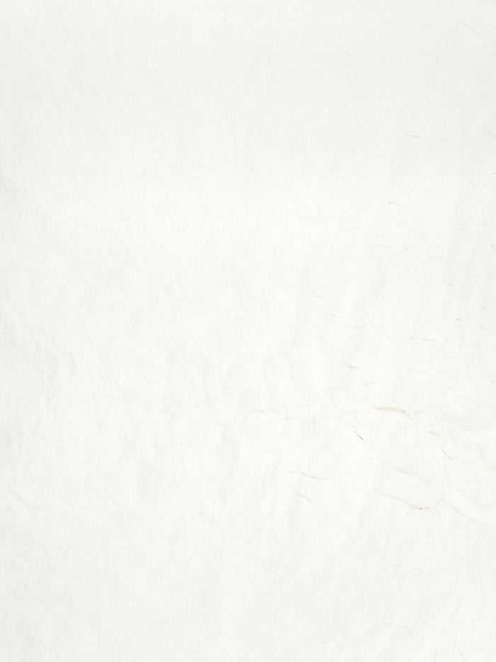 Silk Peptide Powder