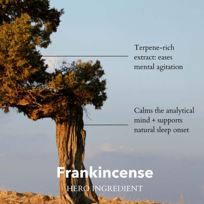 Somali Frankincense Pillow Spray + Refill Bundle - anatomē