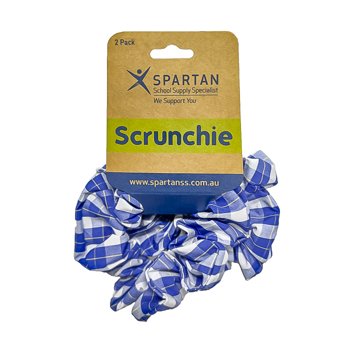 Summer Scrunchie - 2 Pack