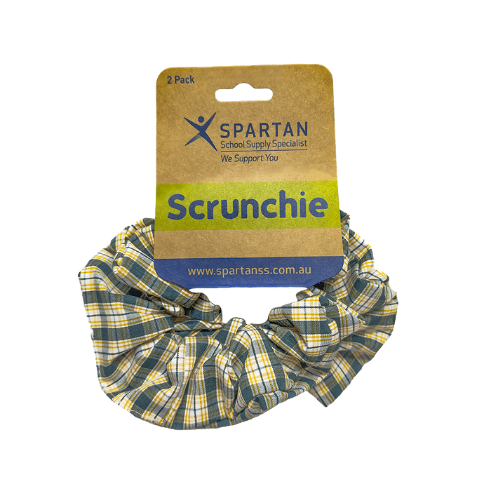 Summer Scrunchie - 2 Pack