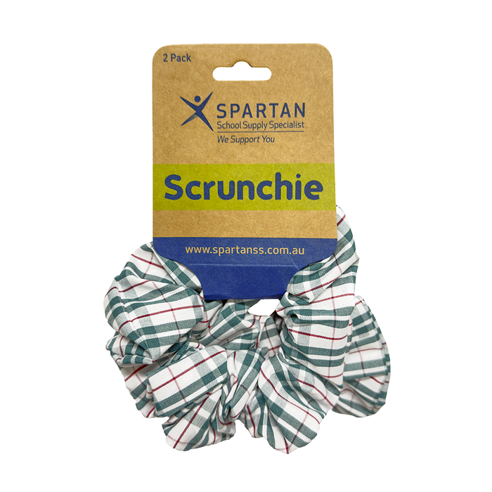 Summer Scrunchie - 2 Pack