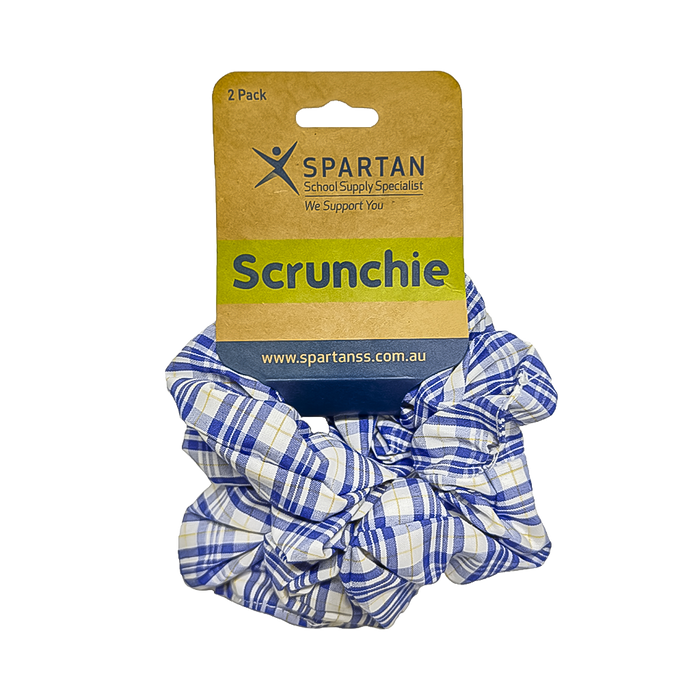 Summer Scrunchie - 2 Pack