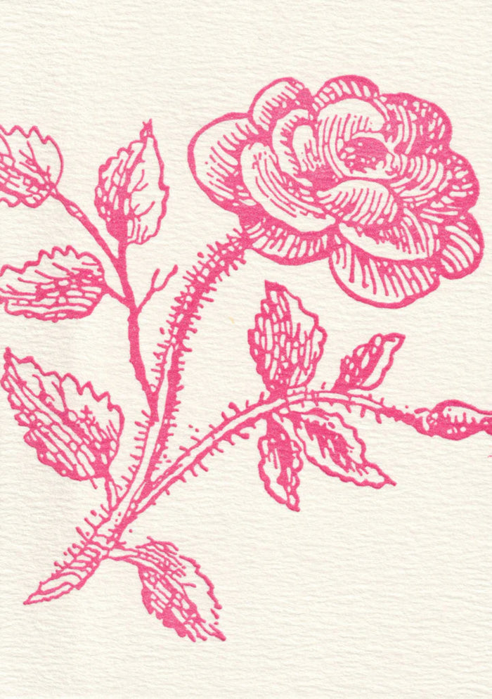Thorn Rose, Pack of Six Note Cards | Saturn Press