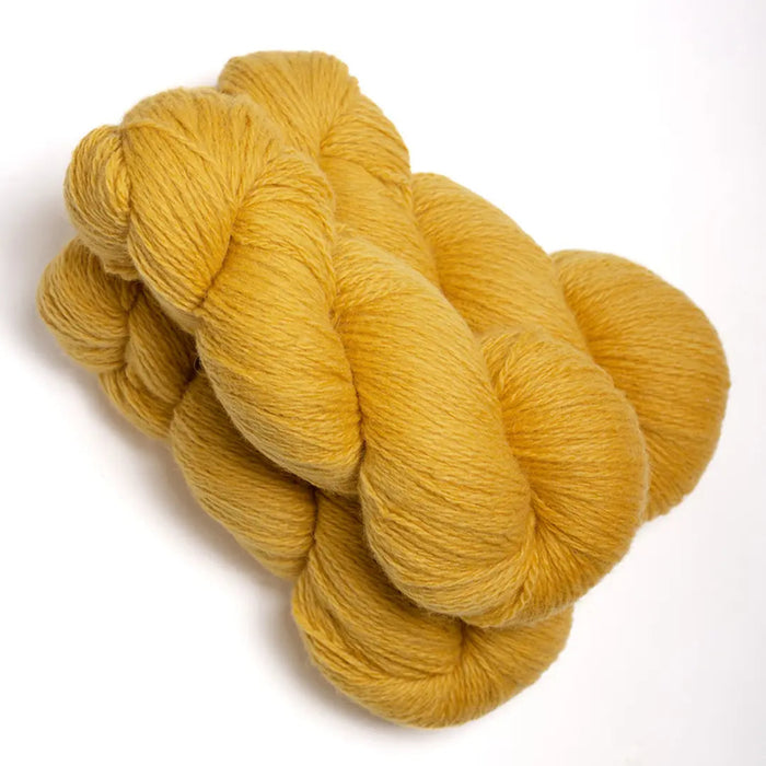 Tibetan Cloud | mYak