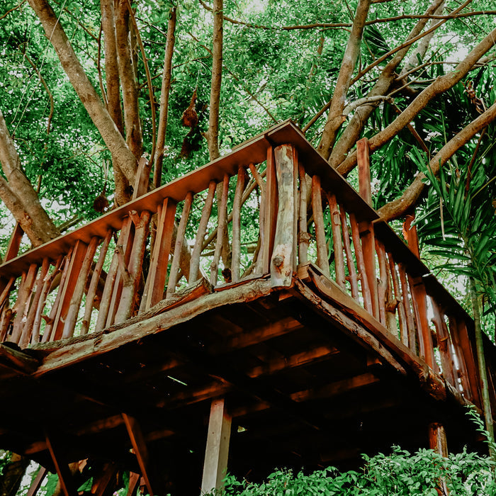 A wooden tree house built high among green leafy trees.